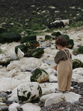 將圖片載入圖庫檢視器 Warm Sand Dungarees