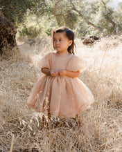 Load image into Gallery viewer, SOFIA DRESS || BLUSH