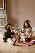 Load image into Gallery viewer, Snuggle Bunnies - Christmas Hat Penelope