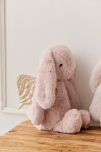 Load image into Gallery viewer, Snuggle Bunnies - Glitter Penelope