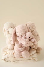 將圖片載入圖庫檢視器 Snuggle Bunnies - Frankie the Hugging Bunny - Blush