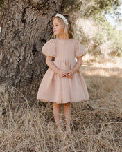 Load image into Gallery viewer, SOFIA DRESS || BLUSH