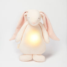 Load image into Gallery viewer, MOONIE POWDER - humming bunny with a night lamp