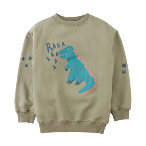 Children's sweatshirt with a dinosaur graphic and 'RAAA' text on a beige background