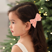 Load image into Gallery viewer, Velvet Bow | Pink Bell