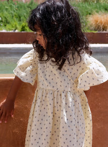 bitsy wrap dress - point bleu