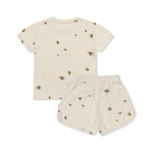 2 pack basic set gots - lemon