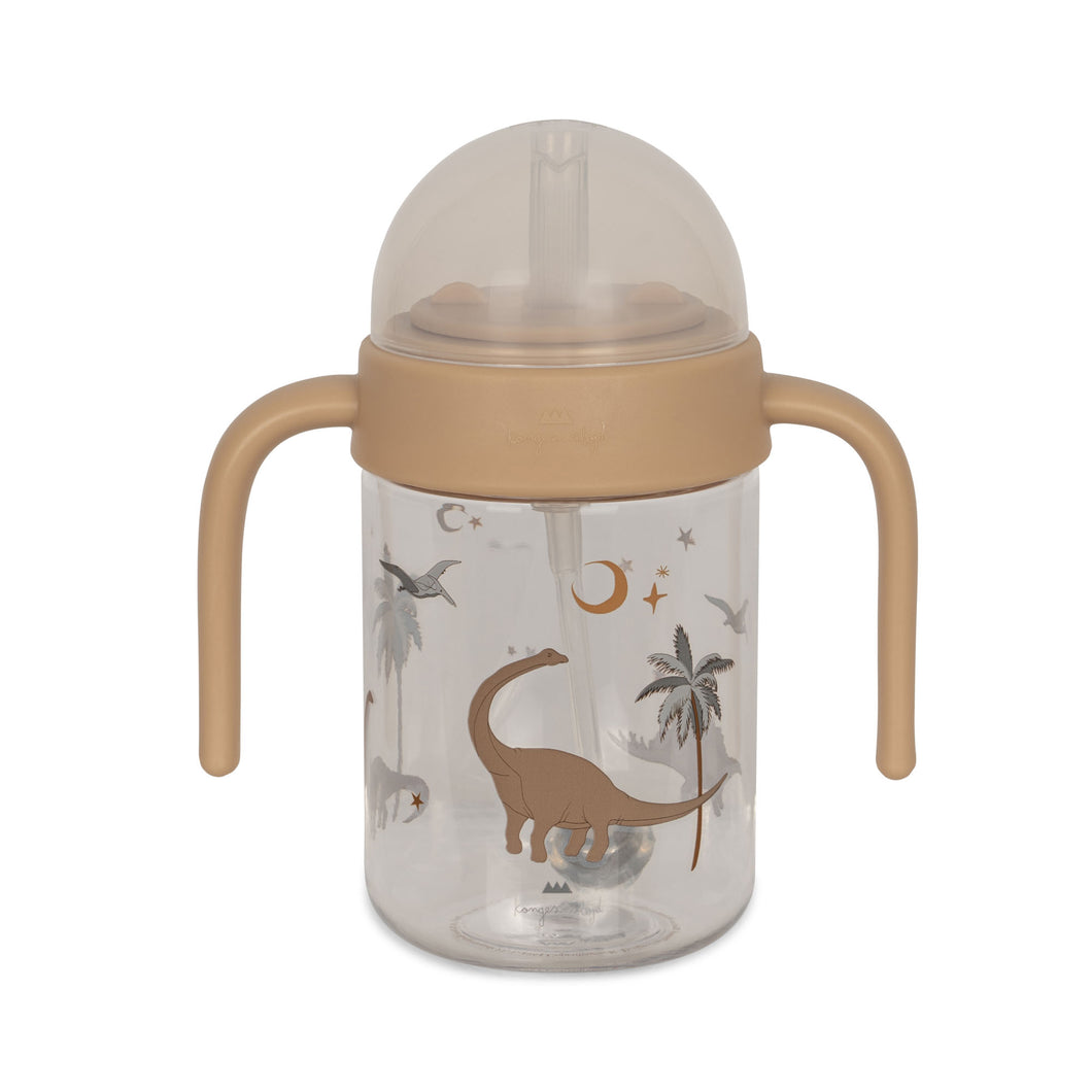bottle with handle - dino
