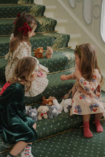 Load image into Gallery viewer, Baby animals