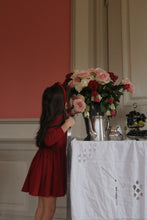 Load image into Gallery viewer, velvet bow hairbrace