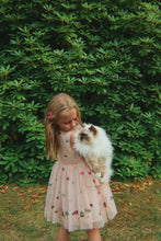 Load image into Gallery viewer, yvonne bow dress - bow kitty