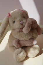 Load image into Gallery viewer, bunny hugs - bunny