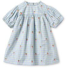Load image into Gallery viewer, Blue and white checkered dress with strawberry pattern on a white background