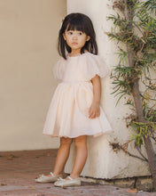 Load image into Gallery viewer, Noralee Sofia Dress in blush, stylish women's dress displayed in a lifestyle setting with a flattering fit and elegant design.