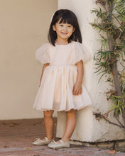 Load image into Gallery viewer, Noralee Sofia Dress in blush, stylish and elegant, shown in a lifestyle setting with flowing fabric and feminine design.