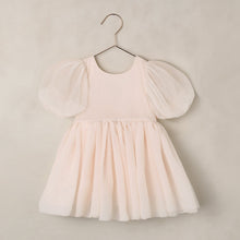 Load image into Gallery viewer, Noralee Sofia Dress in blush color, elegant women's dress with a flowing fit and soft fabric, front view.
