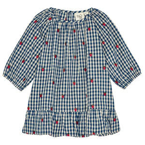 Nolly LS ON Dress - Berry blue check