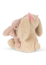 Load image into Gallery viewer, bunny hugs - bunny