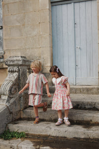 venice shorts - stan stripe