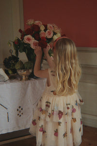 yvonne fairy dress - vitamins