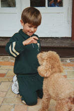 Load image into Gallery viewer, doggy polo - pine grove