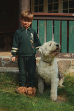 Load image into Gallery viewer, doggy polo - pine grove