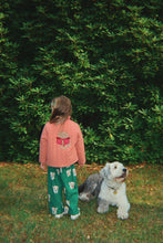 Load image into Gallery viewer, juno jacket - canyon rose