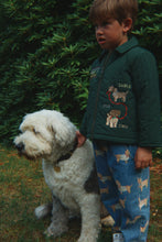 Load image into Gallery viewer, juno jacket - pine grove