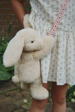 Load image into Gallery viewer, teddy bag - bunny