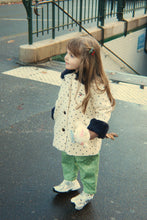 Load image into Gallery viewer, nola pants - dot pistacchi