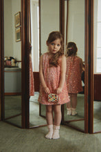 Load image into Gallery viewer, starlight dress - lantana