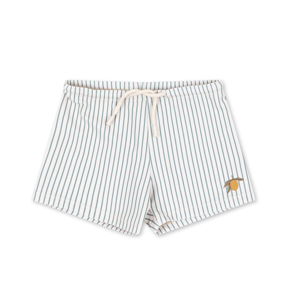 aster swim pants grs - tea stripe