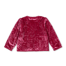 Load image into Gallery viewer, Red velvet top on a white background