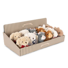 Load image into Gallery viewer, Set of plush toys in a cardboard box on a white background