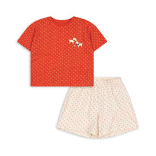 將圖片載入圖庫檢視器 famo box fit set - fraise dot - LittleBae.