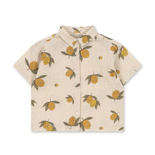 Load image into Gallery viewer, elliot short sleeve shirt - sweet and sour