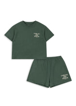 將圖片載入圖庫檢視器 famo set - cilantro