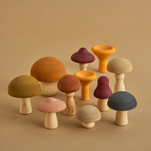 Load image into Gallery viewer, Mushroom Set