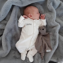 將圖片載入圖庫檢視器 Front-Opening Sleepsuit - Grey Stripe