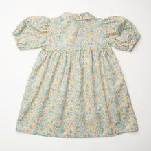 Load image into Gallery viewer, Duck, Duck, Goose Dress - Pesteron Liberty Print Cotton