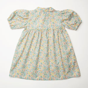 Duck, Duck, Goose Dress - Pesteron Liberty Print Cotton