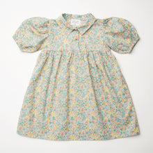 Load image into Gallery viewer, Duck, Duck, Goose Dress - Pesteron Liberty Print Cotton