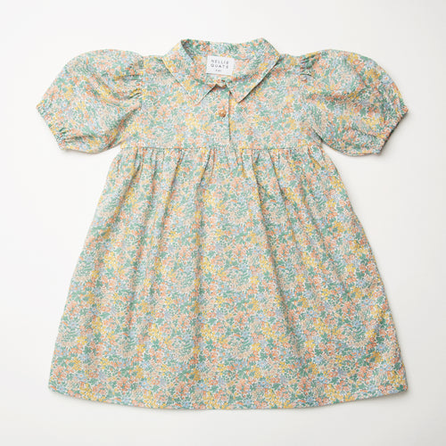 Duck, Duck, Goose Dress - Pesteron Liberty Print Cotton