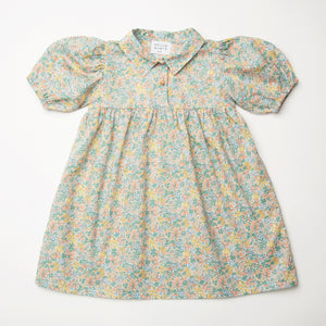Duck, Duck, Goose Dress - Pesteron Liberty Print Cotton