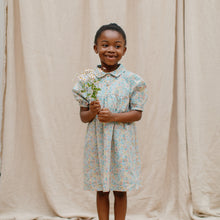 Load image into Gallery viewer, Duck, Duck, Goose Dress - Pesteron Liberty Print Cotton