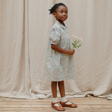 Load image into Gallery viewer, Duck, Duck, Goose Dress - Pesteron Liberty Print Cotton