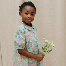 Load image into Gallery viewer, Duck, Duck, Goose Dress - Pesteron Liberty Print Cotton
