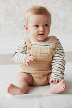 Load image into Gallery viewer, Pima Cotton Frankie Top - Bear Stripe