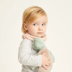 Everyday Long Sleeve T-Shirt - Blush Stripe (4425986408510)