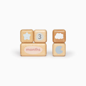 Wooden Baby Milestone Blocks